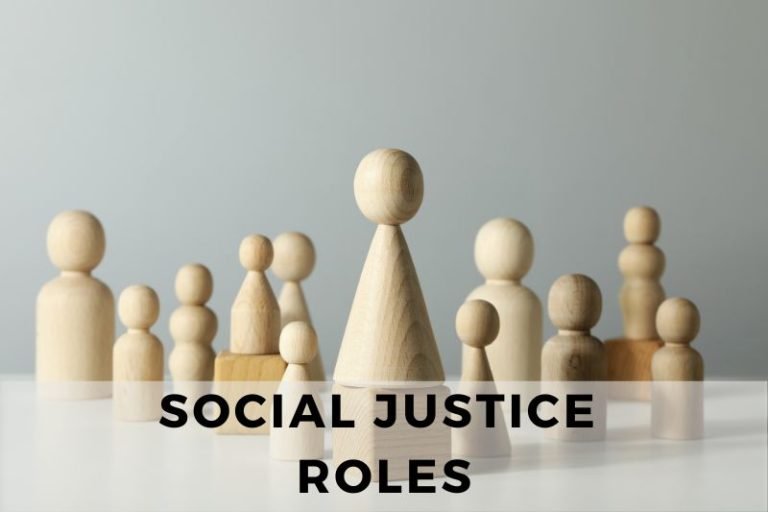 The Different Roles In Advancing Social Justice