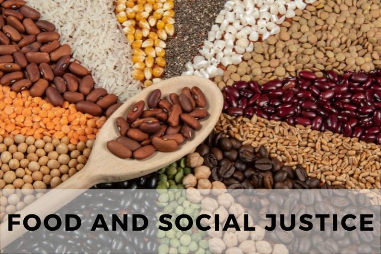 The Link Between Availability of Food and Social Justice