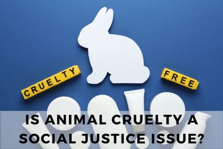 Is Animal Cruelty a Social Justice Issue That Demands Action?