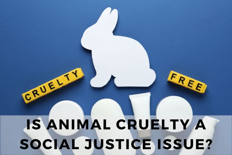 Is Animal Cruelty a Social Justice Issue