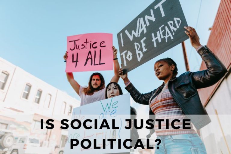 Is Promoting Social Justice a Political Activity?