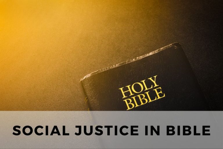 Exploring Themes and Examples of Social Justice in Bible